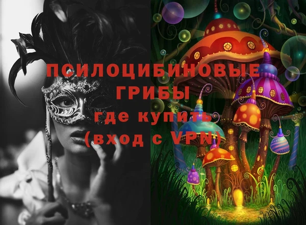 шишки Алзамай