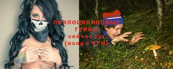 шишки Алзамай