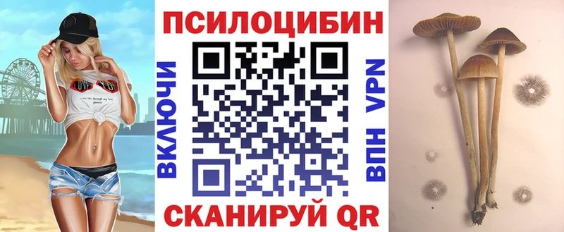 дарк нет формула  Борзя  Галлюциногенные грибы Psilocybe  kraken tor 
